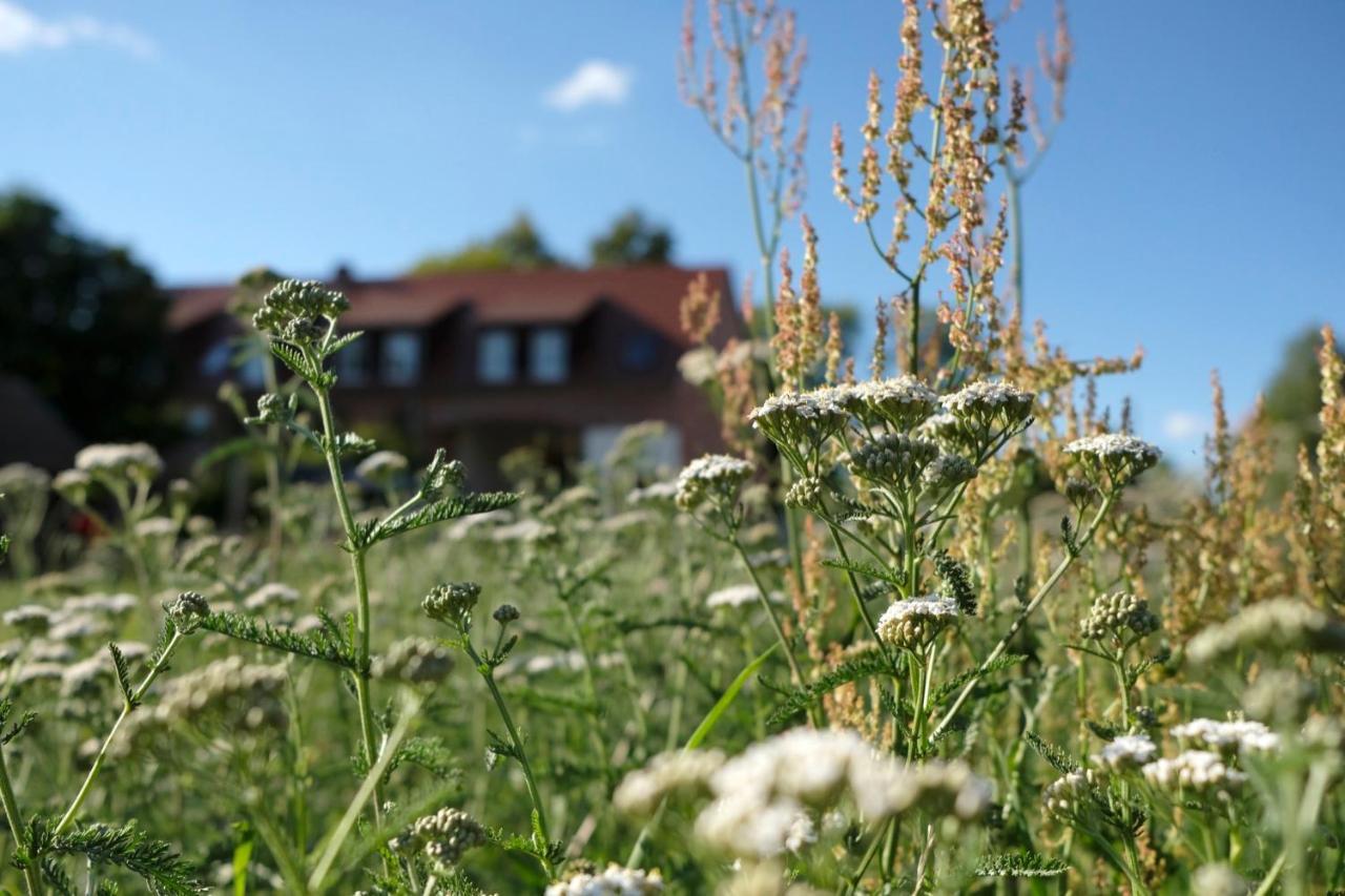 Ferienwohnung Mohnblume Pulzig 外观 照片