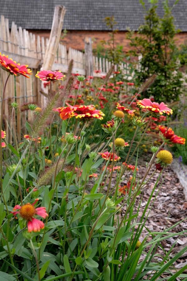 Ferienwohnung Mohnblume Pulzig 外观 照片