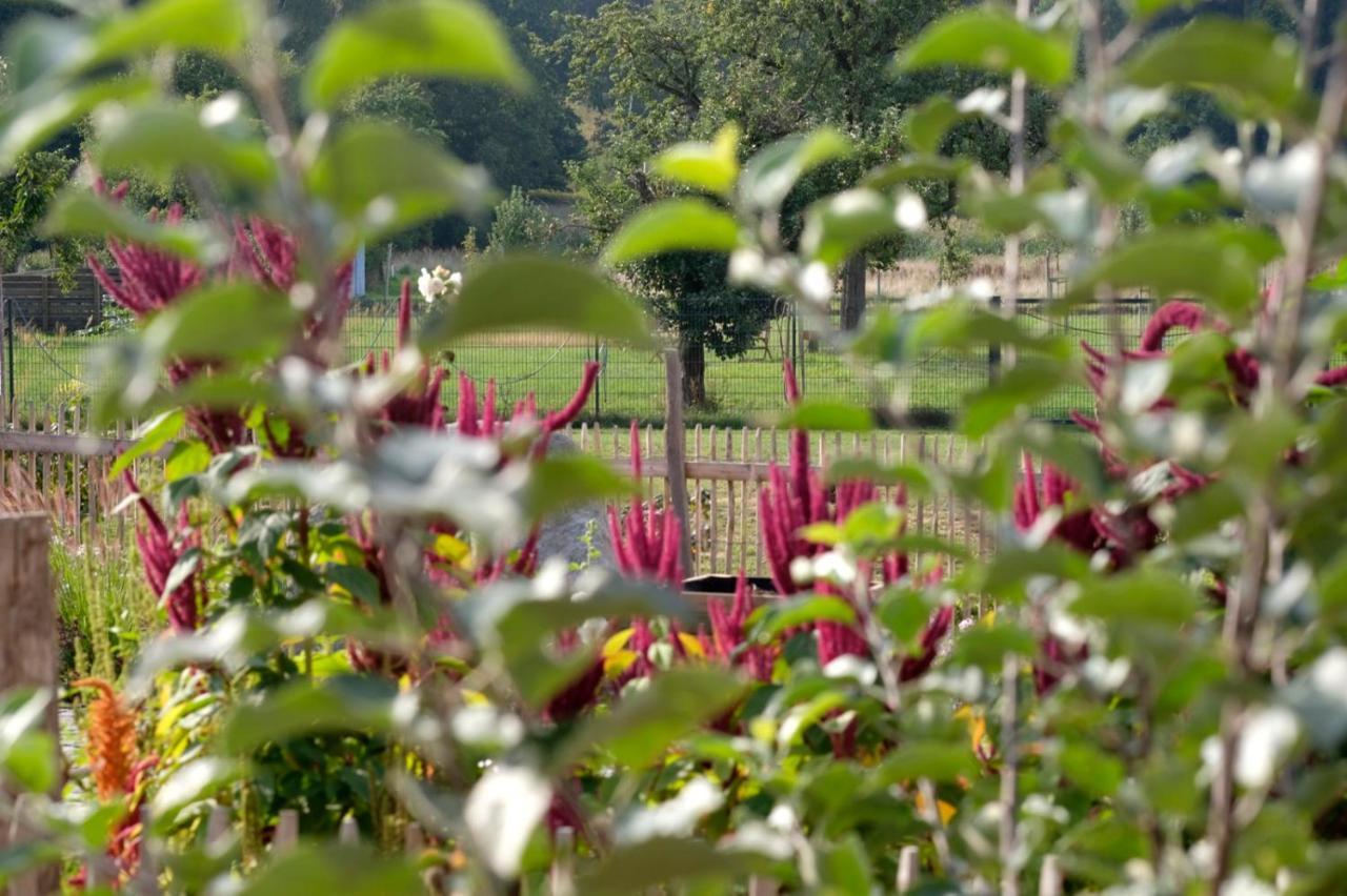 Ferienwohnung Mohnblume Pulzig 外观 照片